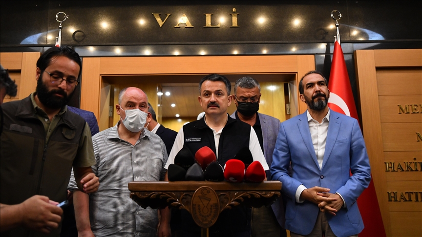 Pakdemirli: (Kahramanmaraş'ta uçağın düşmesi) 3'ü Türk 8 çalışma arkadaşımızı kaybettik