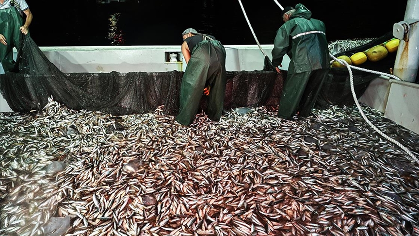 Balıkçılar ilk ağlarını bereketiyle çekti!