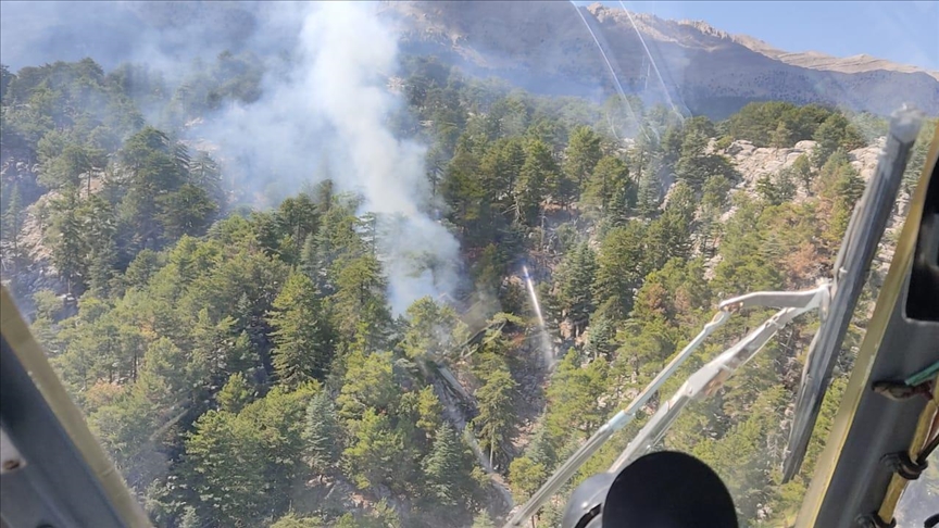 Manavgat'ta çıkan orman yangını kontrol altına alındı