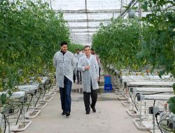 Antalyalı Seracılara Göre Şanlıurfa'da Seracılık Daha Avantajlı