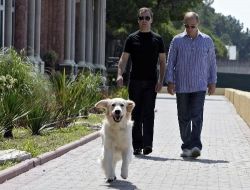 Medvedev İle Putin'in Badminton Maçında Meşhur Köpek 'koni' Hakemlik Yaptı