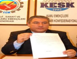 Danıştay, Dsi'deki Usulsüzlük İddiasının Soruşturulmasına Karar Verdi