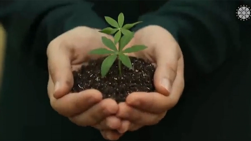 Cumhurbaşkanlığı İletişim Başkanı Altun'dan 'Milli Ağaçlandırma Günü'ne özel video