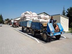 Akşehir'de 14 Bin Çiftçi 85 Bin Dekara Haşhaş Ekimi Yapacak