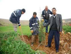 Şahinbey Belediyesi, Yeni Mahalleleri Ağaçlandırıyor