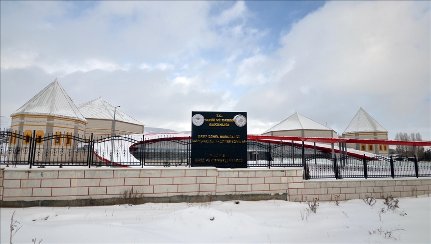 Sarıkamış'ta Mehmetçiğin dondurucu soğuktaki kararlılığı hafızalardaki yerini koruyor