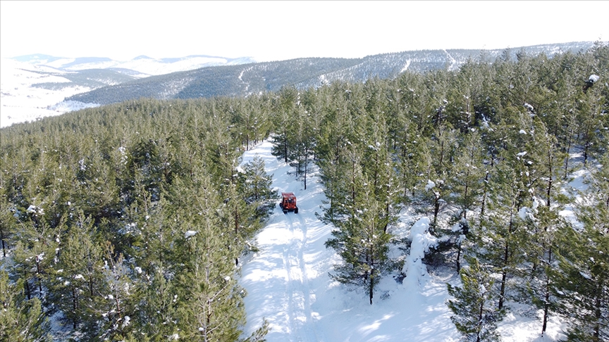 Kayseri'de PKK/KCK operasyonunda bir kişi tutuklandı