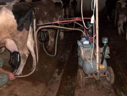 Elektrik Akımına Kapılan Genç Öldü