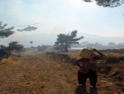 Zaman Muhabirinin Fotoğrafına Çevre Ödülü