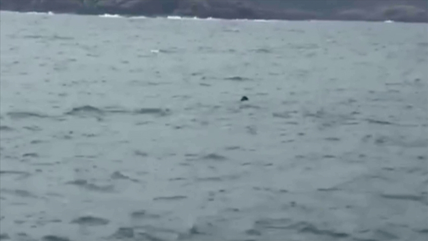 Akar: İstanbul Boğazı açıklarındaki mayın SAS timimiz tarafından etkisiz hale getirildi