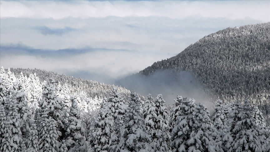 Uludağ kanunla özel koruma altına alınıyor!