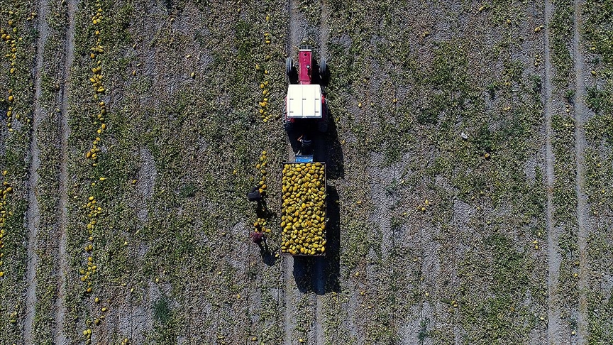 Jeopolitik endişeler ve merkez bankalarının "şahin" duruşuyla emtia piyasasındaki oynaklık devam ediyor