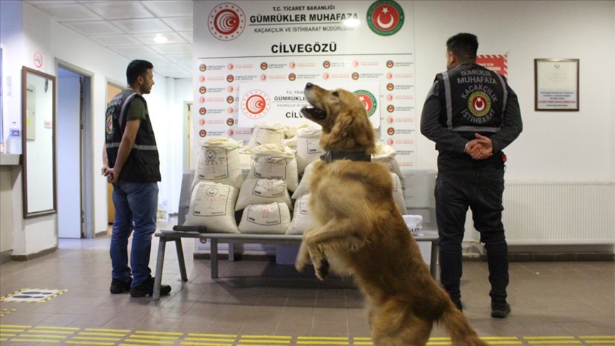 TURŞU TIRLARINDAN CAPTAGON ÇIKTI!