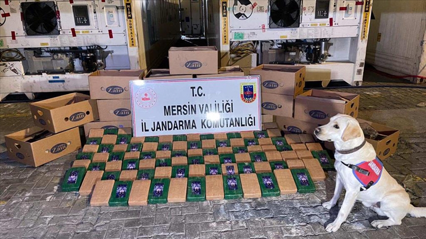 Mersin Limanı'nda 258 kilogram kokain yakalandı