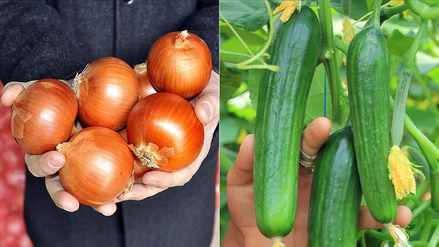 Nisanda fiyatı en fazla artan ürün kuru soğan, en çok düşen salatalık oldu!