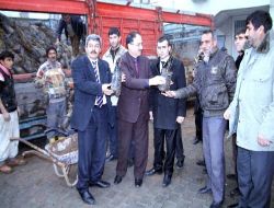 Midyat'ta Çiftçilere Fıstık Ve Nar Fidanı Dağıtıldı