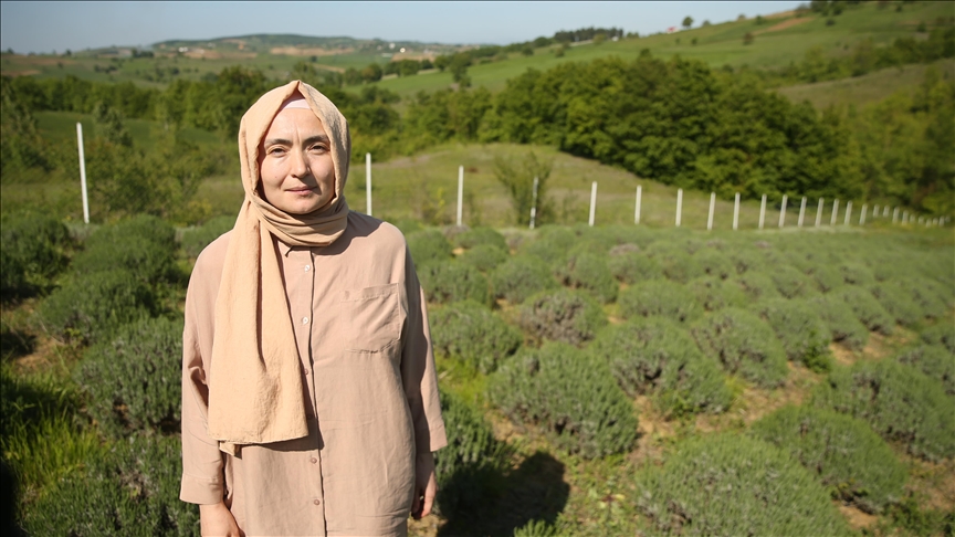 Girişimci kadın tarıma kazandırdığı arazide lavanta yetiştiriyor