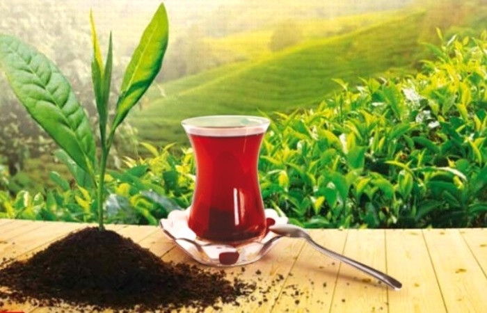 Rize Çay İhracatından 4 ayda 2,8 milyon dolar kazandı