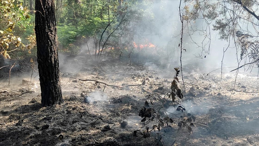 Eyüpsultan'da ormanlık alanda çıkan yangın kontrol altına alındı
