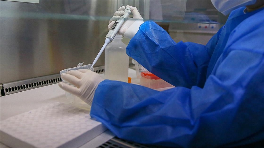 Rusya'da ilk maymun çiçeği vakası tespit edildi