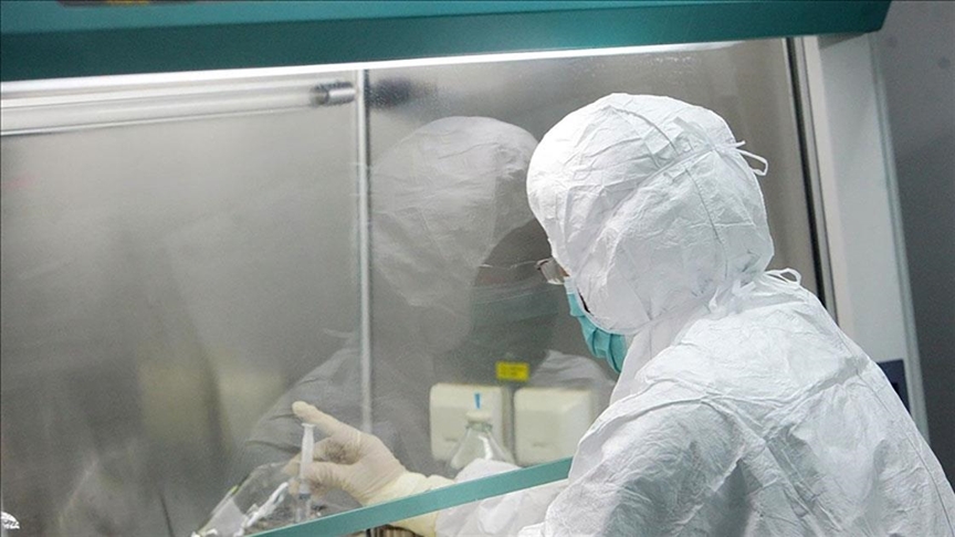 Yeni Zelanda'da ilk maymun çiçeği vakası tespit edildi