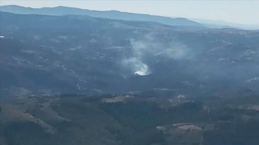 Manisa'da çıkan orman yangınına müdahale ediliyor