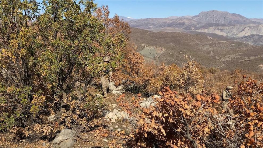 İçişleri Bakanlığı'nca Bitlis'te Eren Abluka-24 operasyonu başlatıldı