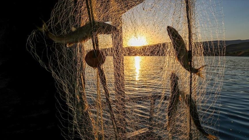 Ve balıkçılıkta av sezonu başlıyor!