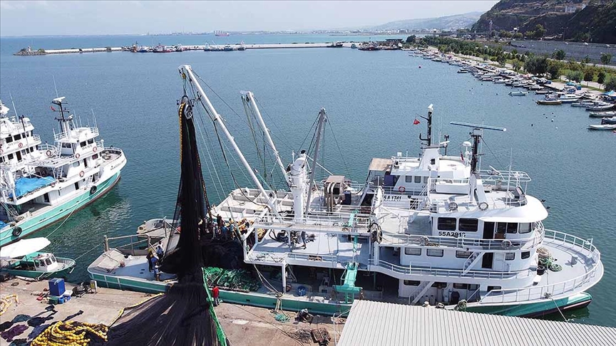 Denizlerde yarın başlayacak yeni av sezonunda palamut bolluğu yaşanacak