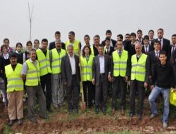 Kızıltepe'de Ağaçlandırma Çalışmaları Sürürüyor