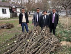 Elbistan'da Çiftçilere 6 Bin Meyve Fidanı Dağıtıldı