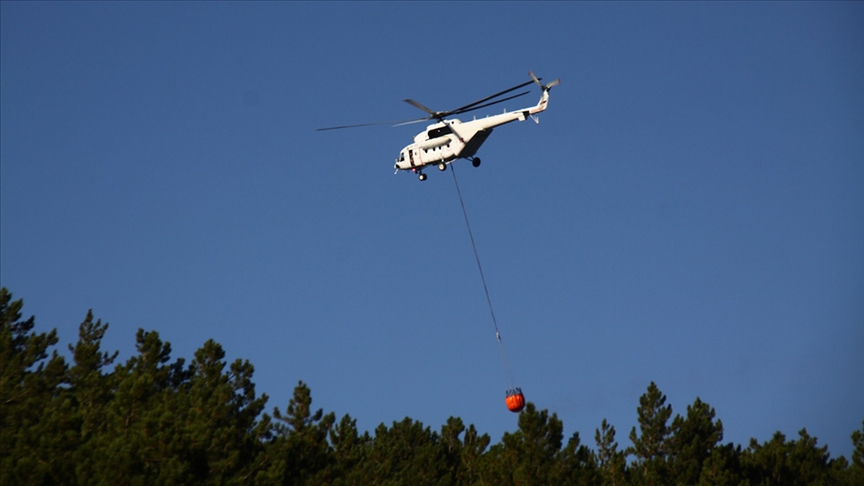 Eskişehir'de çıkan orman yangını söndürüldü