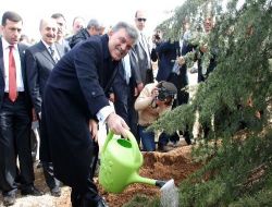 Cumhurbaşkanı Gül, İsmi Merak Konusu Olan Torunu Adına Ağaç Dikti!