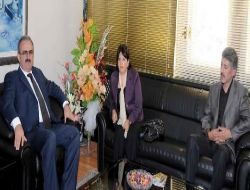 Dtp'li Milletvekili Fatma Kurtulan, Vali Karaloğlu'nu Ziyaret Etti.