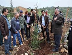 Mersin Barosu Avukatları Hatıra Ormanı Oluşturdu