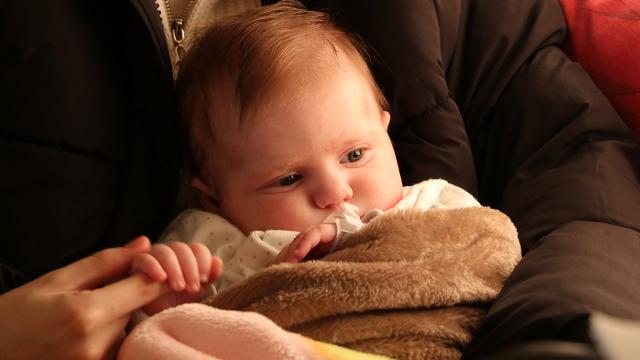 Refakatsiz çocuklar için 290 bin başvuru yapıldı