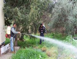 Taşucu Belediyesi Sinekle Mücadele Ekipleri Oluşturdu