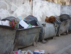 Rus Gazeteciler, Ekonomik Kriz Haberlerini Çöpten Alıyor!