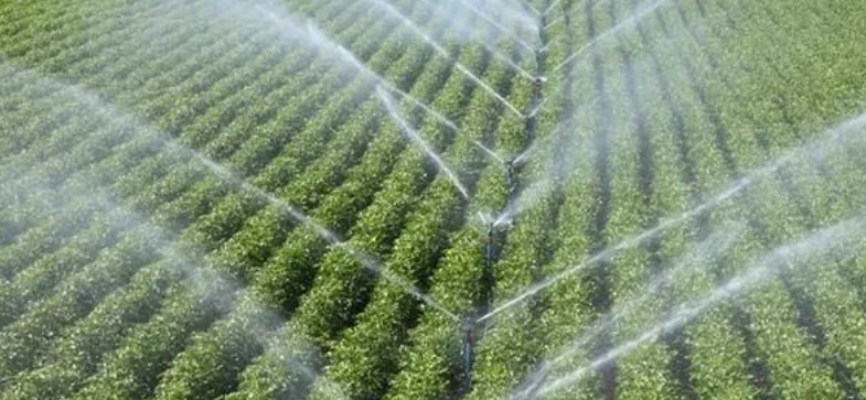 Çiftçilerin su kullanım bedeline yapılacak yüzde 50 indiriminin uygulama esasları belirlendi
