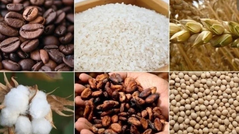 Emtia piyasasında dalga boyu yükseldi