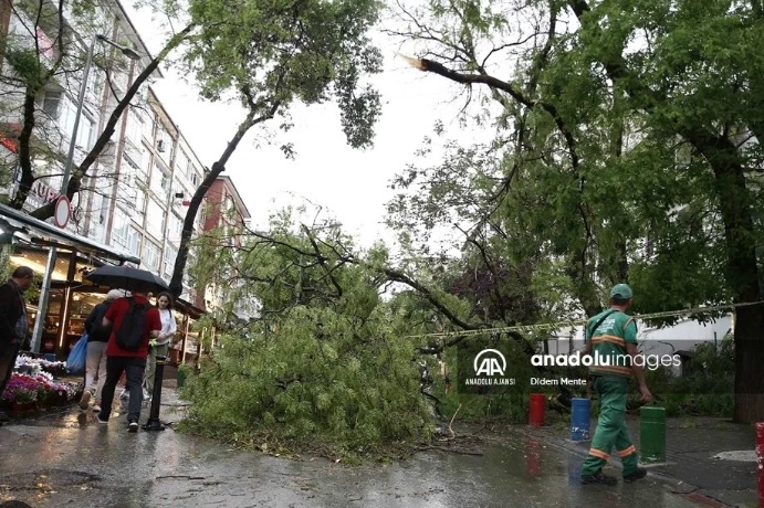 Başkentte şiddetli rüzgar ağaçları devirdi, çatıları uçurdu!