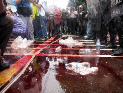 Tayland'da Protestocular Başbakanın Evini Kana Buladı