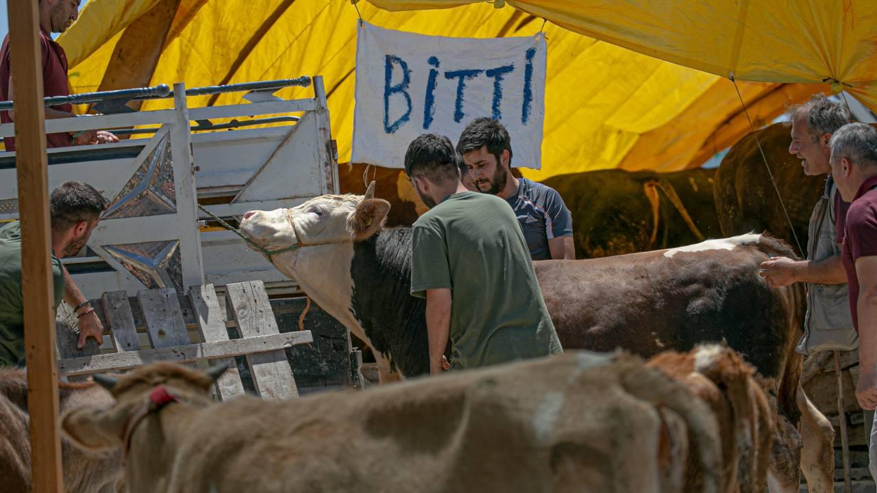 Ankara'daki kurban pazarlarında yoğunluk sürüyor