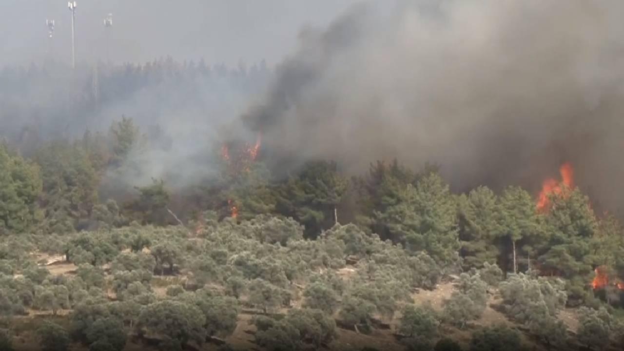 Milas-Bodrum Havalimanı yolunda çıkan yangın kontrol altına alındı