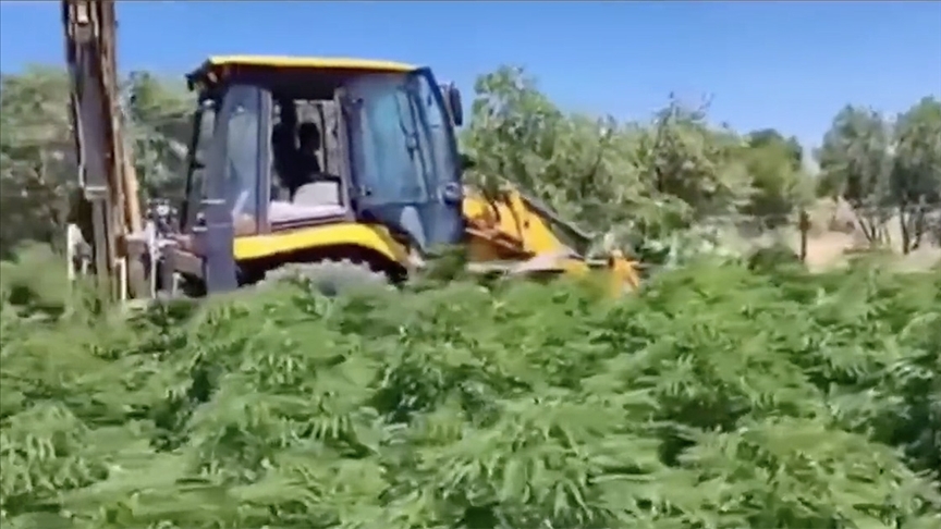 Lice'deki "Narkoterör Operasyonu"yla terör örgütünün 11 milyar liralık yasa dışı geliri engellendi