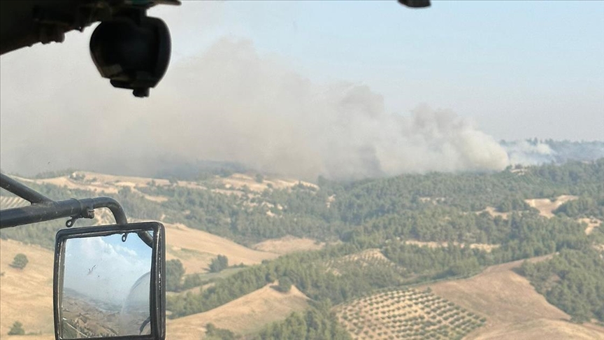 Adana'da çıkan orman yangını kontrol altına alındı