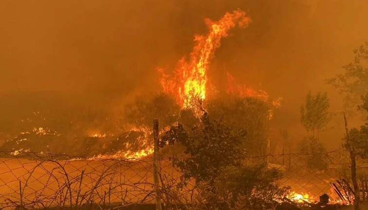 Çanakkale'de orman yangını nedeniyle 4 yerleşim bölgesi tahliye edildi
