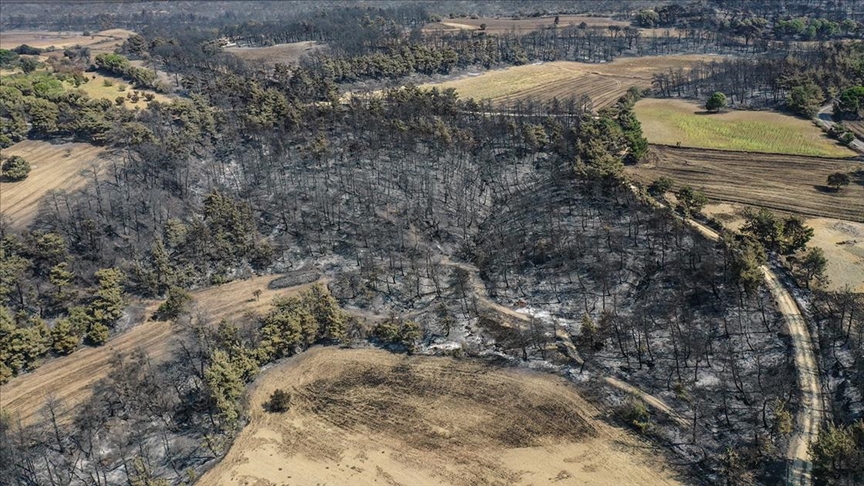 Çanakkale'deki orman yangını kontrol altına alındı!