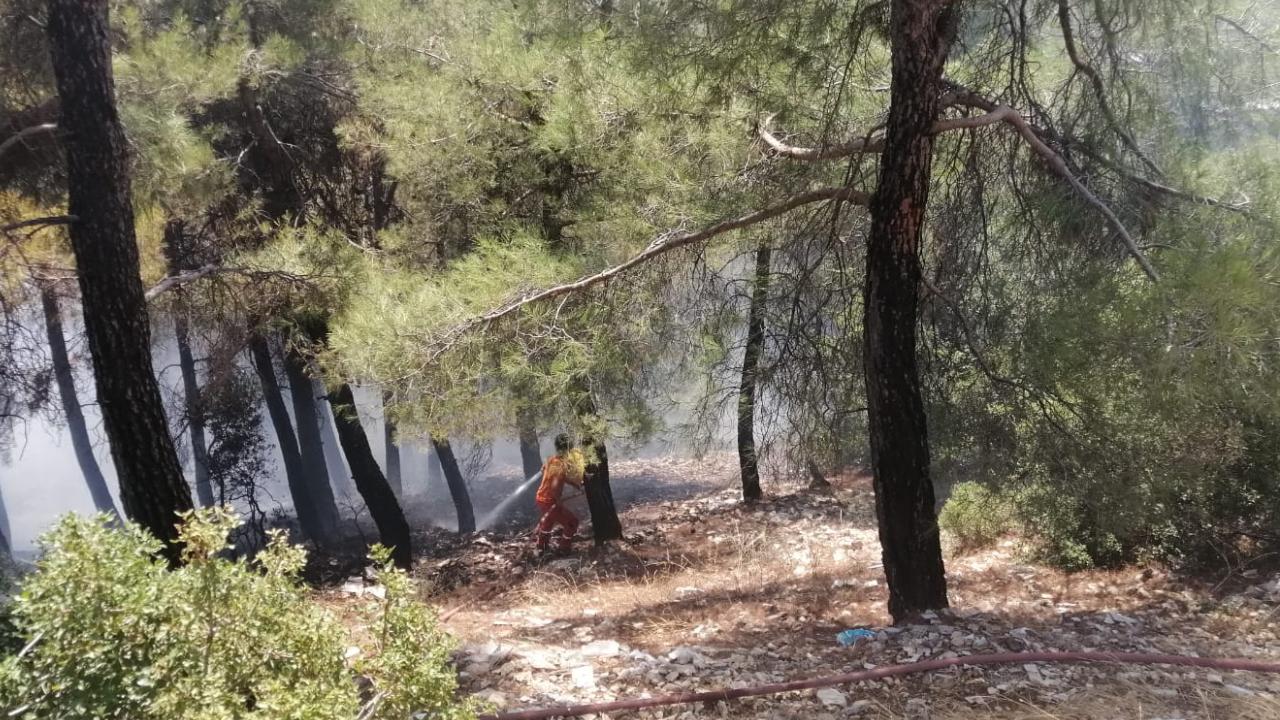 Kahramanmaraş'ta orman yangını