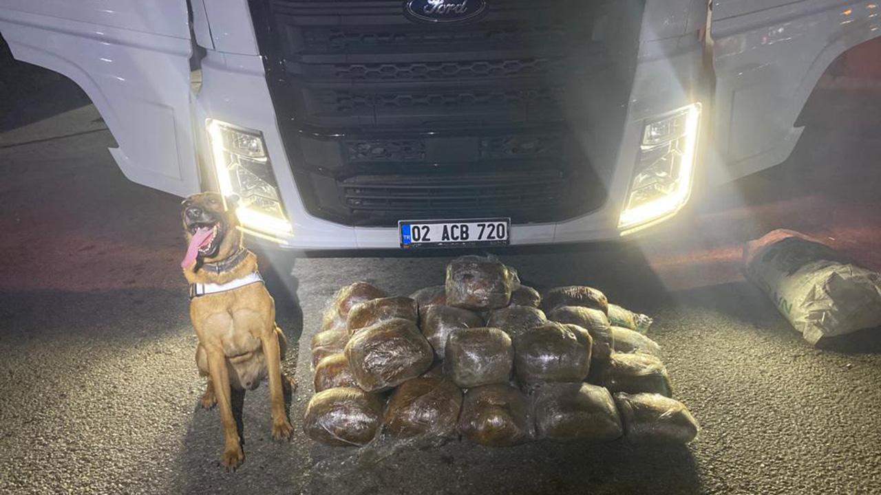 Tahıl yüklü tırdan sentetik uyuşturucu çıktı!